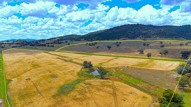 Photo - 20 Callaghans Lane, Quirindi NSW 2343 - Image 12