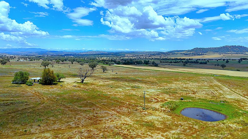 Photo - 20 Callaghans Lane, Quirindi NSW 2343 - Image 21