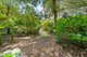 Photo - 20 Canyon Parade, Springbrook QLD 4213 - Image 9