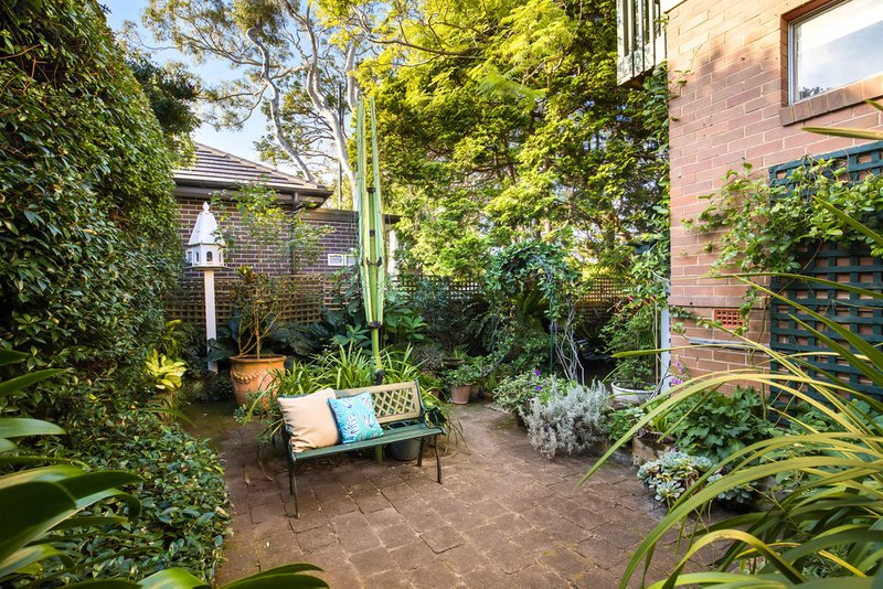 Photo - 20 Carter Street, Cammeray NSW 2062 - Image 3