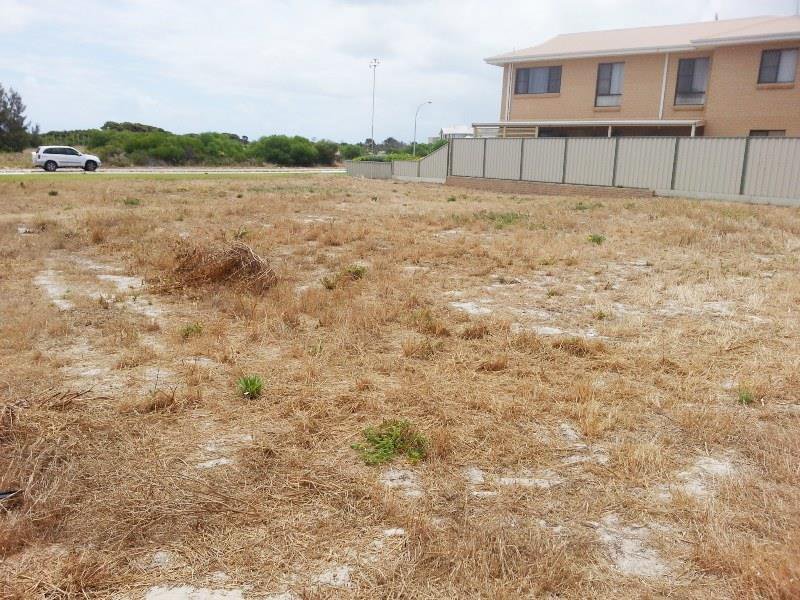 Photo - 20 Casuarina Crescent, Jurien Bay WA 6516 - Image 4