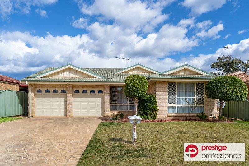 20 Concettina Drive, Prestons NSW 2170