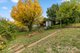 Photo - 20 Corralyn Avenue, Batlow NSW 2730 - Image 13