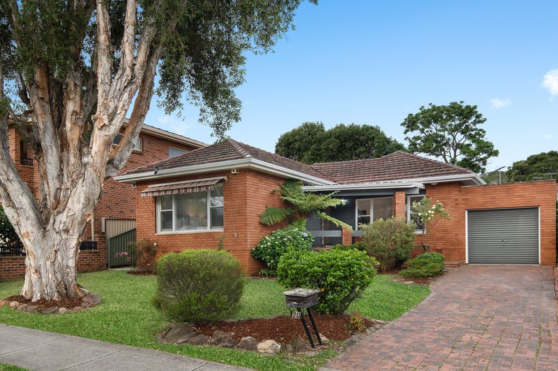 20 Daisy Street, Roselands NSW 2196