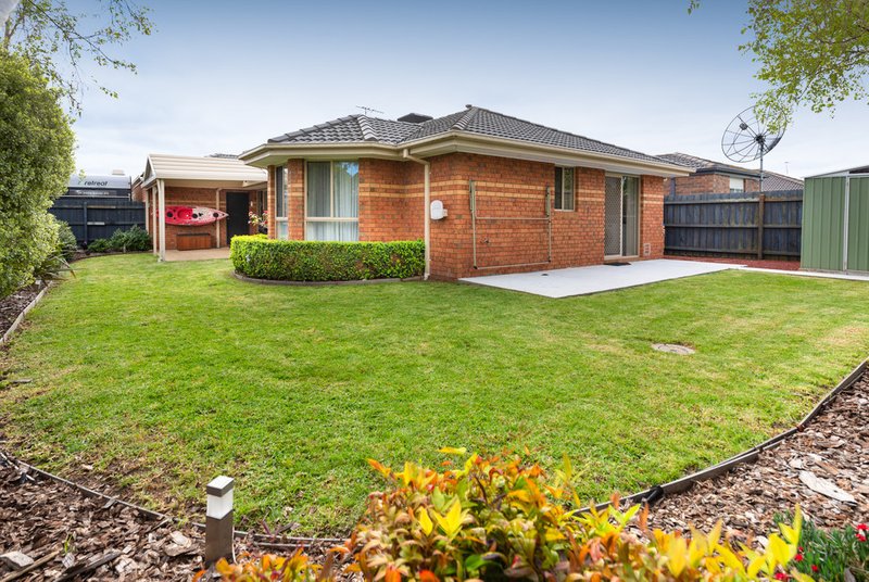 Photo - 20 Dempster Way, Berwick VIC 3806 - Image 16