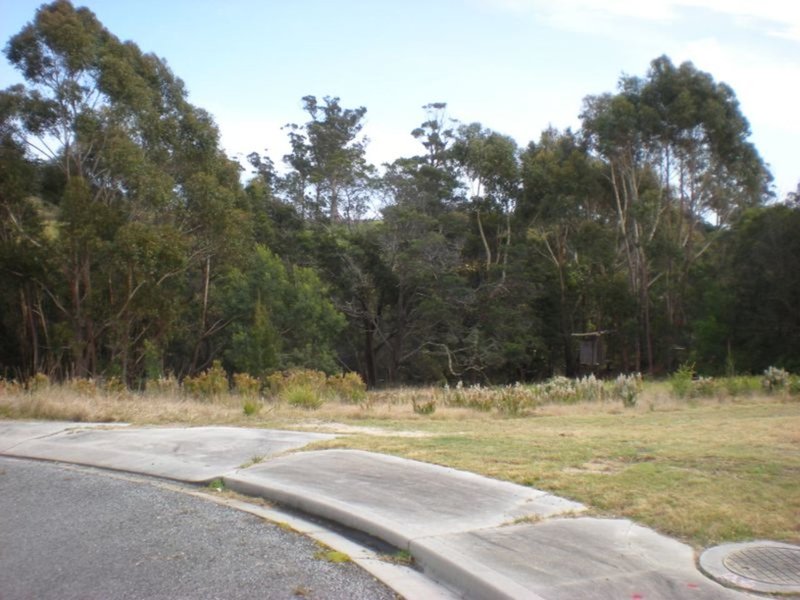 Photo - 20 Douglas Court, St Helens TAS 7216 - Image 4