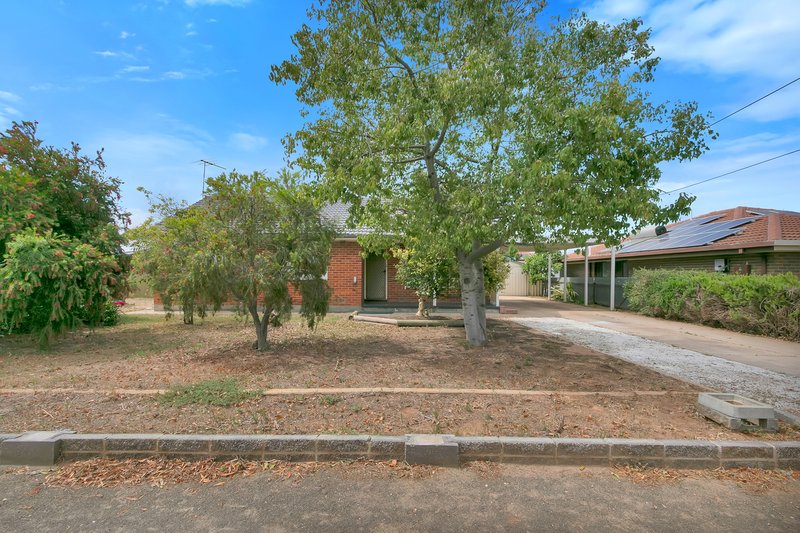 Photo - 20 Drew Street, Two Wells SA 5501 - Image 3