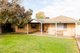 Photo - 20 Edward Street, Willaston SA 5118 - Image 1