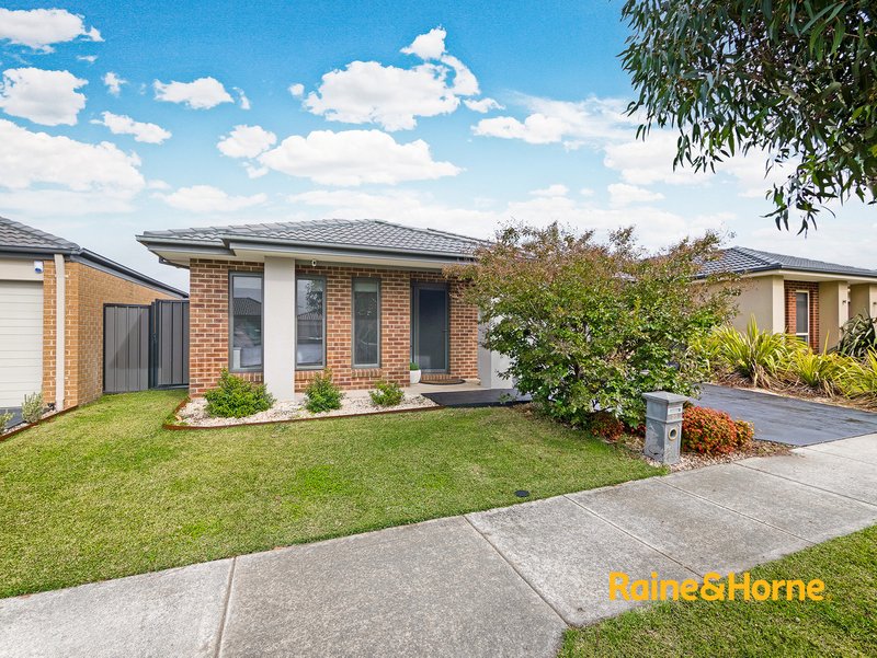 Photo - 20 Elodea Way, Cranbourne North VIC 3977 - Image 2