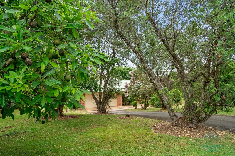 Photo - 20 Ensbey Road, Flaxton QLD 4560 - Image 18