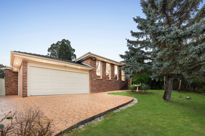 Photo - 20 Flamingo Drive, Wantirna South VIC 3152 - Image 1