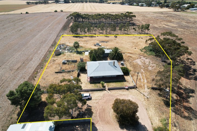 Photo - 20 Foster Road, Pinnaroo SA 5304 - Image 4