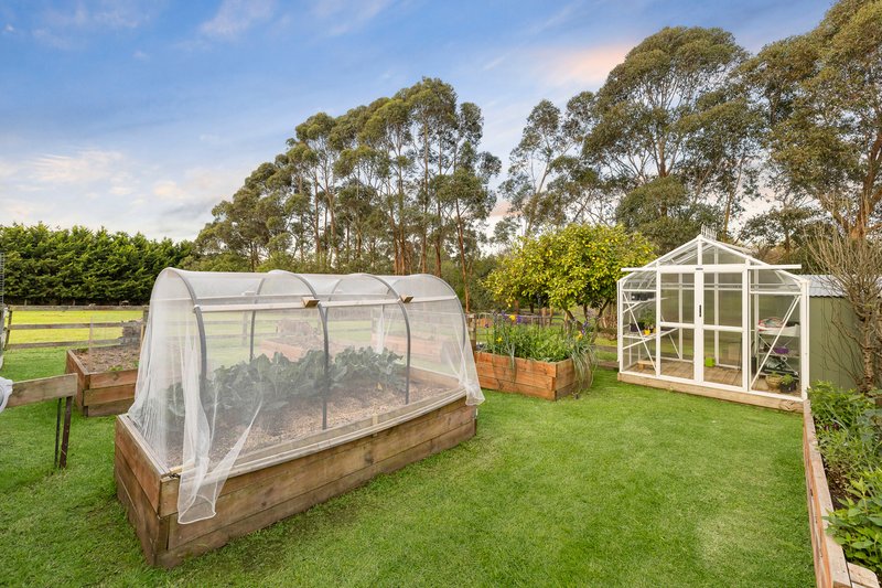 Photo - 20 Gerards Way, Tyabb VIC 3913 - Image 19