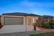 Photo - 20 Goodia Street, Wollert VIC 3750 - Image 16