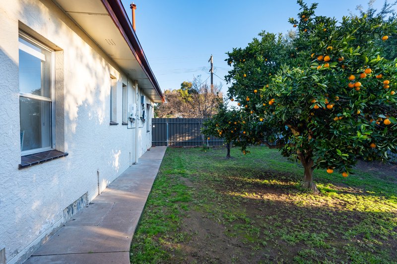 Photo - 20 Graham Street, Henty NSW 2658 - Image 16