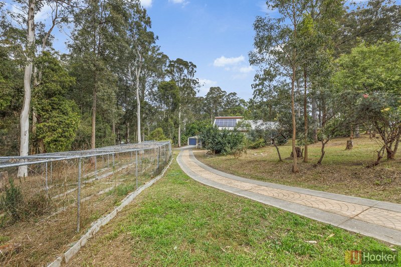 Photo - 20 Hillview Drive, Yarravel NSW 2440 - Image 14