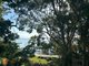 Photo - 20 Kim Crescent, Macleay Island QLD 4184 - Image 1