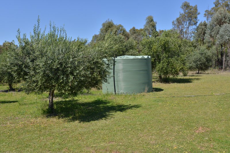 Photo - 20 Kurrajong Road, Coonabarabran NSW 2357 - Image 16