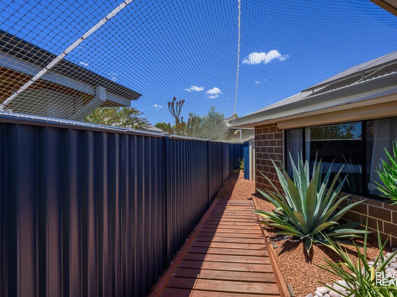 Photo - 20 Lagoon Pass, Baldivis WA 6171 - Image 15