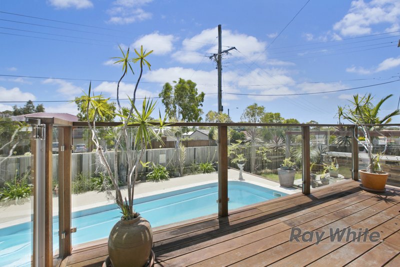 Photo - 20 Lark Street, Birkdale QLD 4159 - Image 2