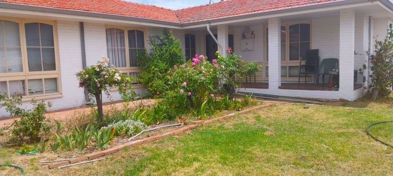 20 Magill Street, Australind WA 6233