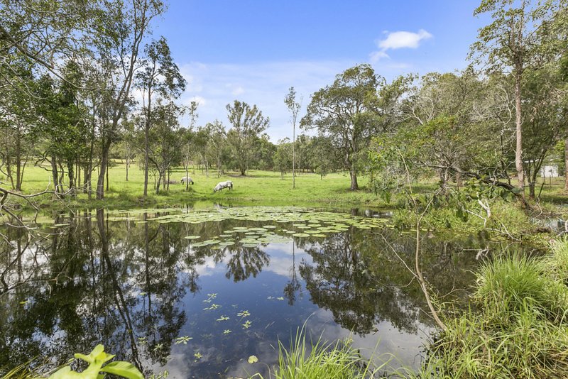 Photo - 20 Mahers Road, Cooran QLD 4569 - Image 4