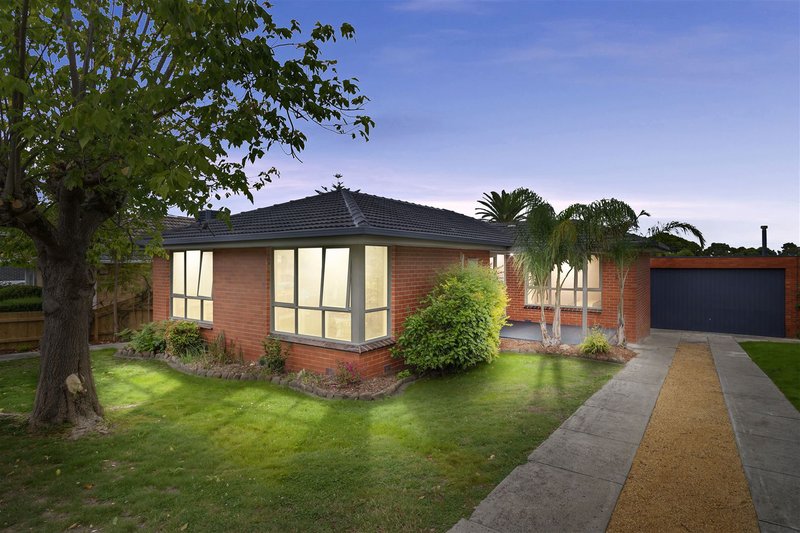 Photo - 20 Marleigh Street, Vermont VIC 3133 - Image 2