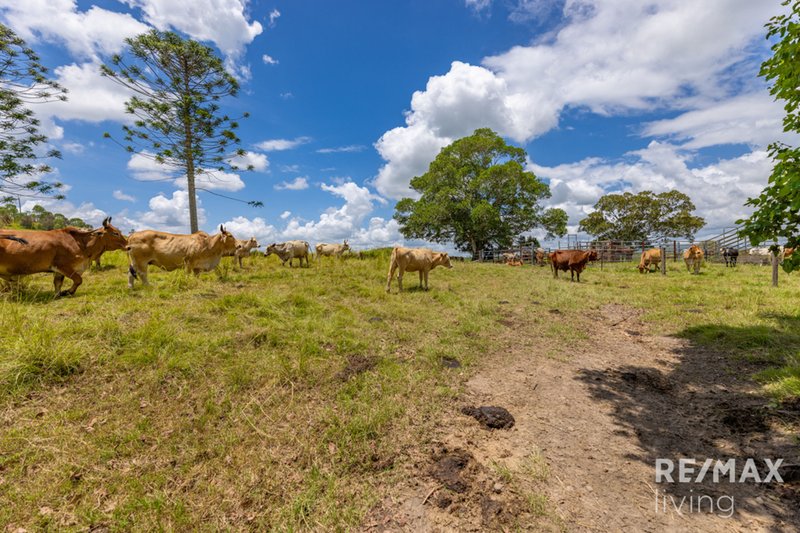 Photo - 20 Maroske Road, Royston QLD 4515 - Image 11