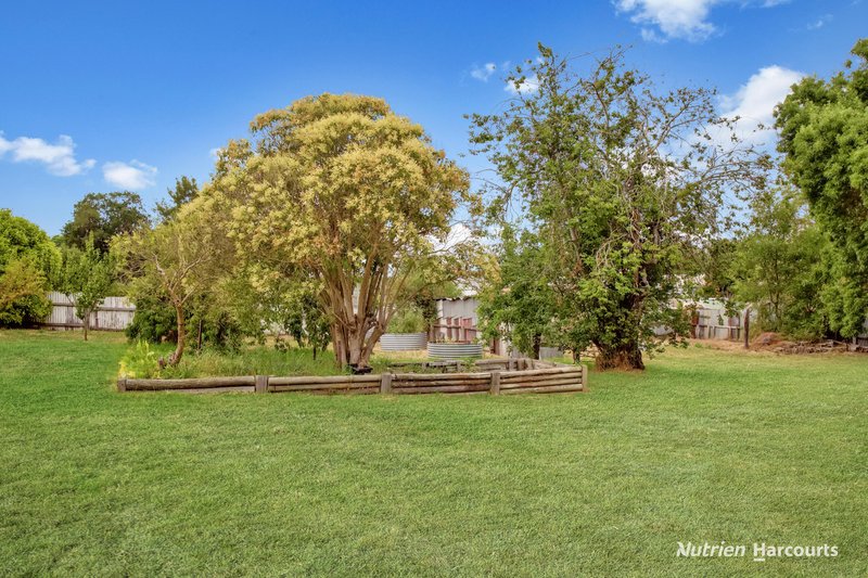 Photo - 20 Maud Street, Merino VIC 3310 - Image 13