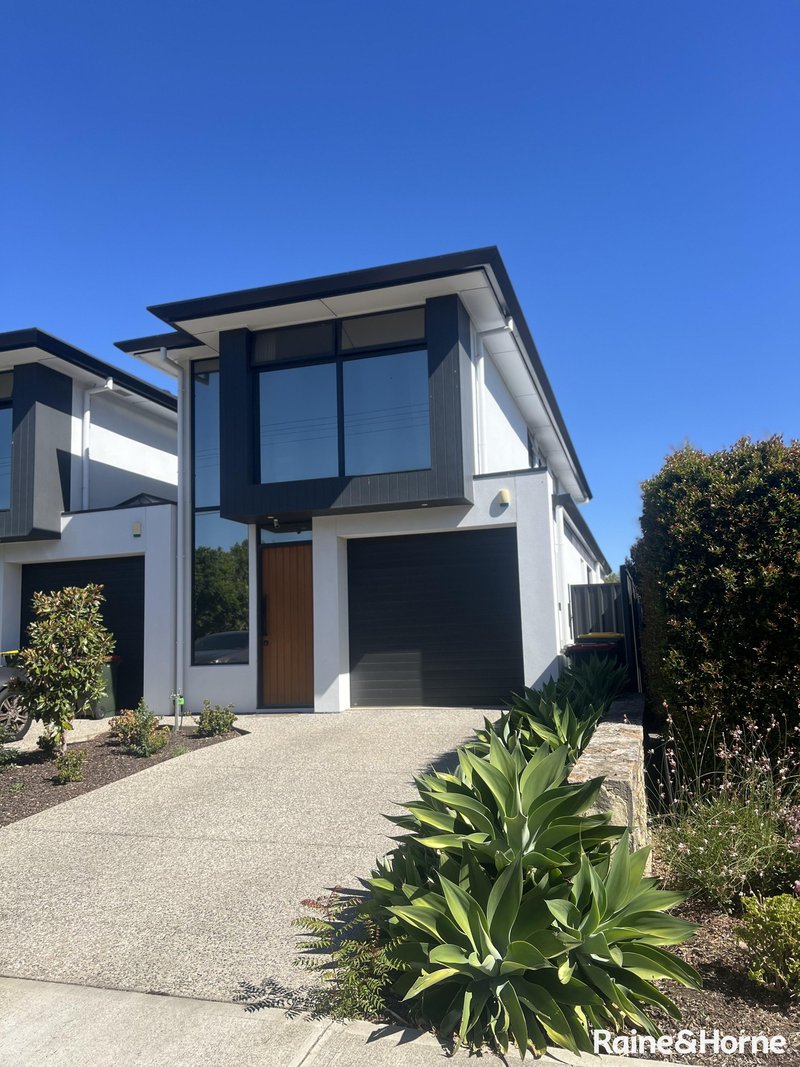 Photo - 20 Melville Street, South Plympton SA 5038 - Image 2