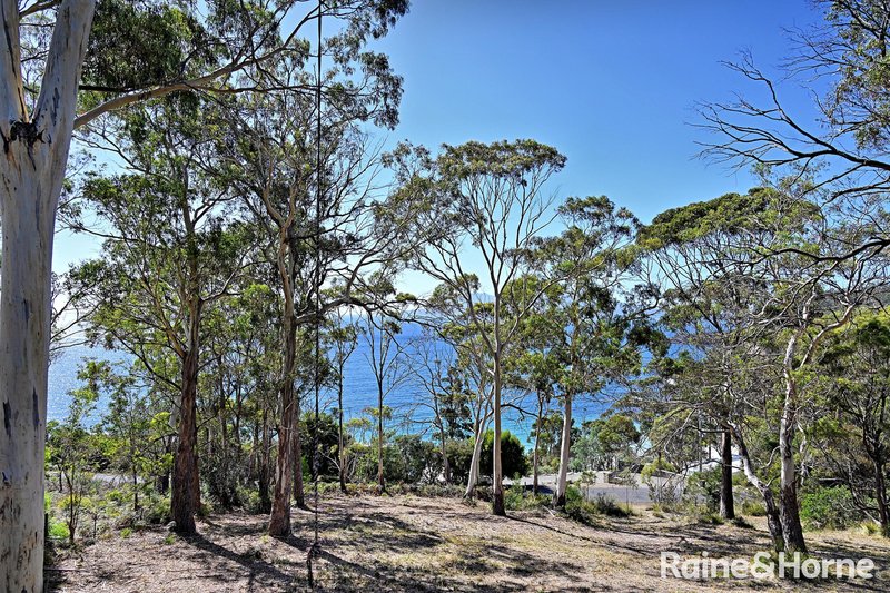 Photo - 20 Mercury Place, Spring Beach TAS 7190 - Image 21