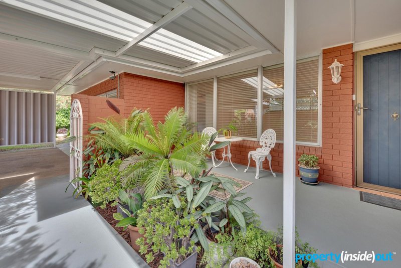 Photo - 20 Mimosa Avenue, Toongabbie NSW 2146 - Image 3