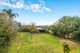 Photo - 20 Mitchell Street, Seaview Downs SA 5049 - Image 4