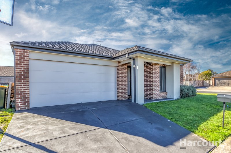 Photo - 20 Montane Boulevard, Newborough VIC 3825 - Image 16