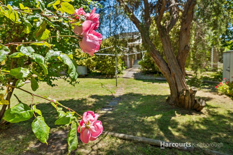 Photo - 20 Myuna Road, Blackmans Bay TAS 7052 - Image 14