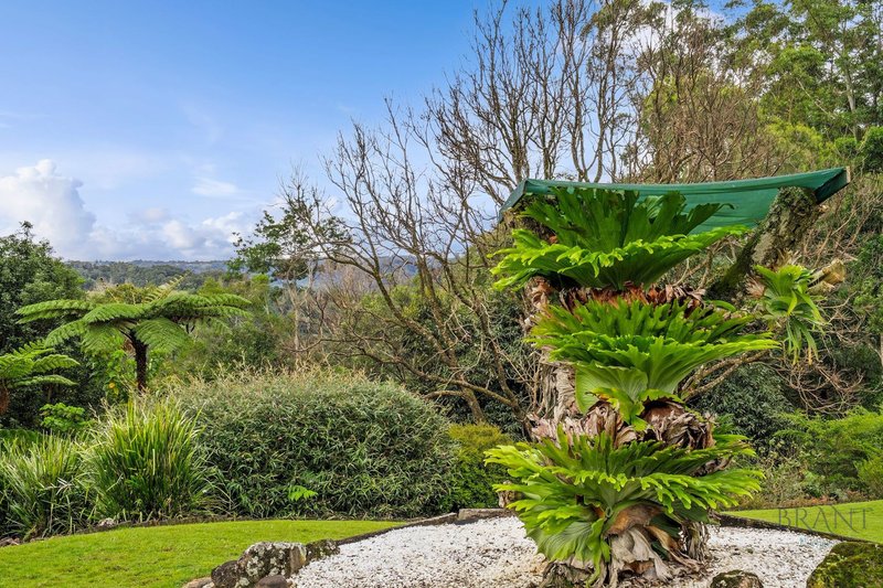 Photo - 20 Nadi Lane, North Maleny QLD 4552 - Image 20