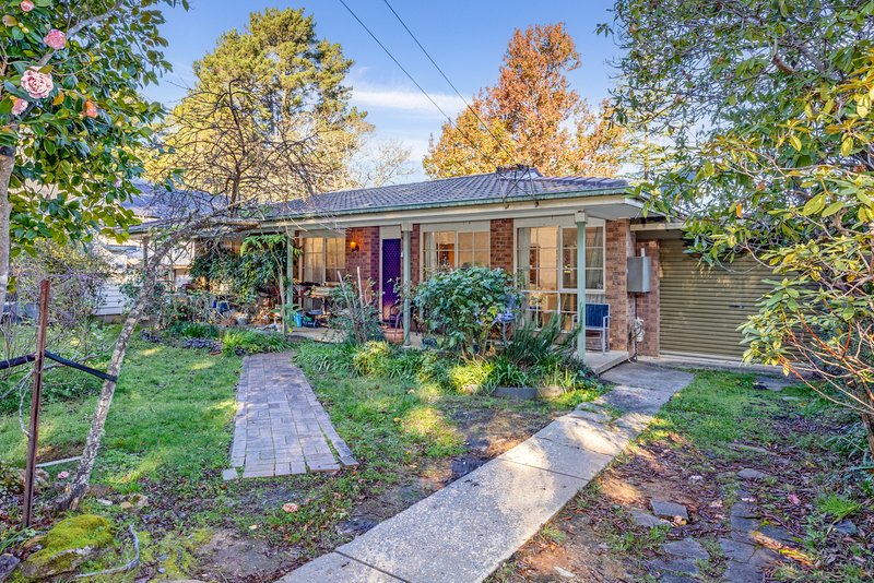 Photo - 20 Nelson Avenue, Wentworth Falls NSW 2782 - Image 1