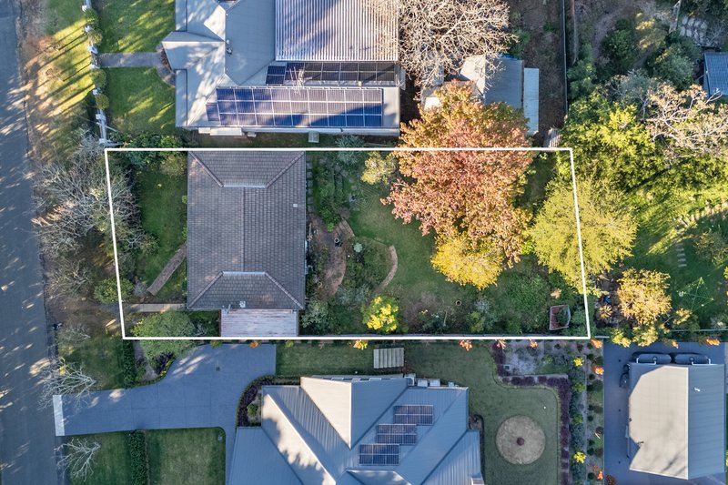Photo - 20 Nelson Avenue, Wentworth Falls NSW 2782 - Image 3