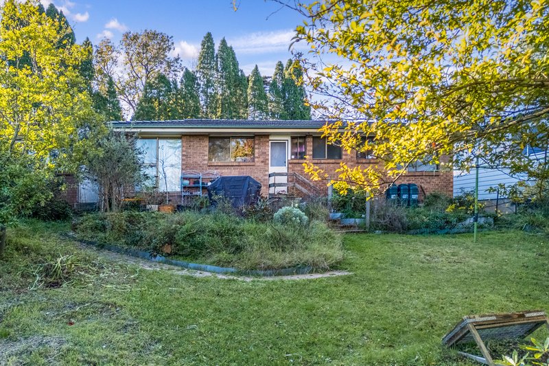 Photo - 20 Nelson Avenue, Wentworth Falls NSW 2782 - Image 9