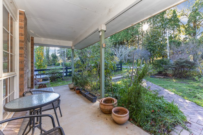 Photo - 20 Nelson Avenue, Wentworth Falls NSW 2782 - Image 10