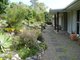 Photo - 20 Omaroo Place, Cooran QLD 4569 - Image 28