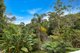 Photo - 20 Palmgrove Place, North Avoca NSW 2260 - Image 13