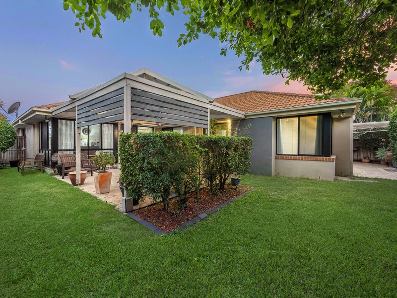 Photo - 20 Parklane Place, Bulimba QLD 4171 - Image 11