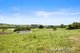 Photo - 20 Pattersons Road, Moyarra VIC 3951 - Image 24