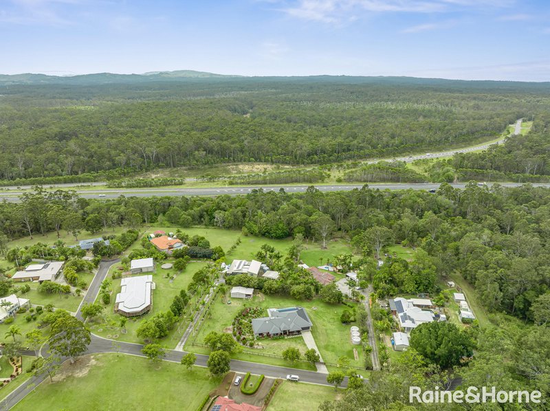 Photo - 20 Pepper Berry Place, Black Mountain QLD 4563 - Image 22