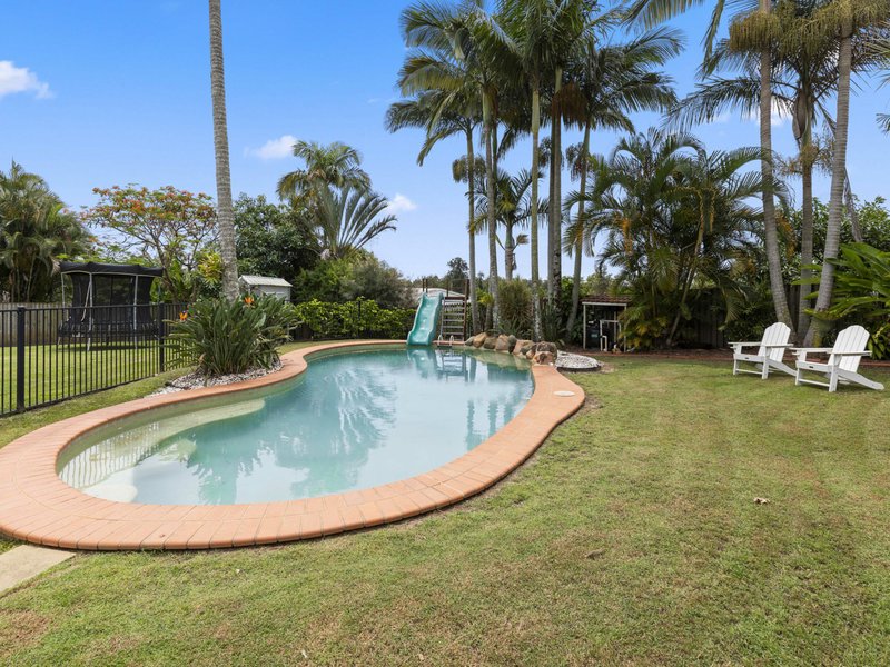 Photo - 20 Peterlyn Court, Beerwah QLD 4519 - Image 3