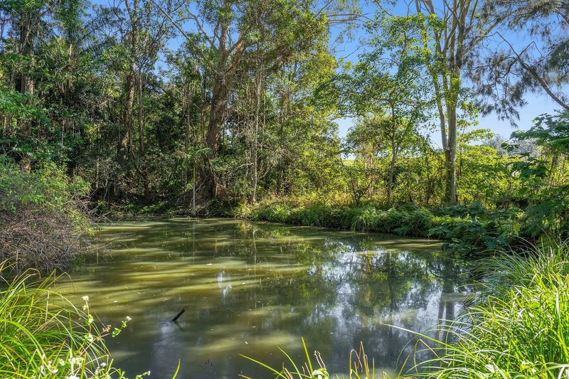 Photo - 20 Ravensberg Drive, Witta QLD 4552 - Image 14