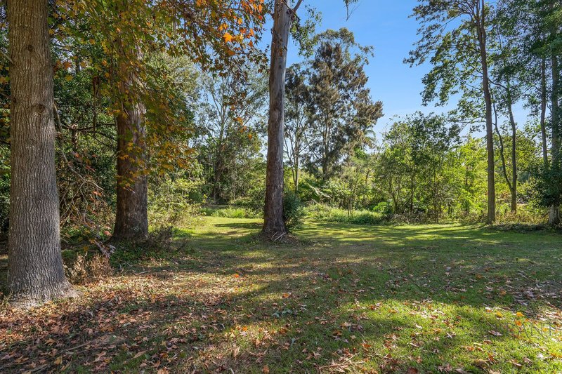 Photo - 20 Ravensberg Drive, Witta QLD 4552 - Image 15