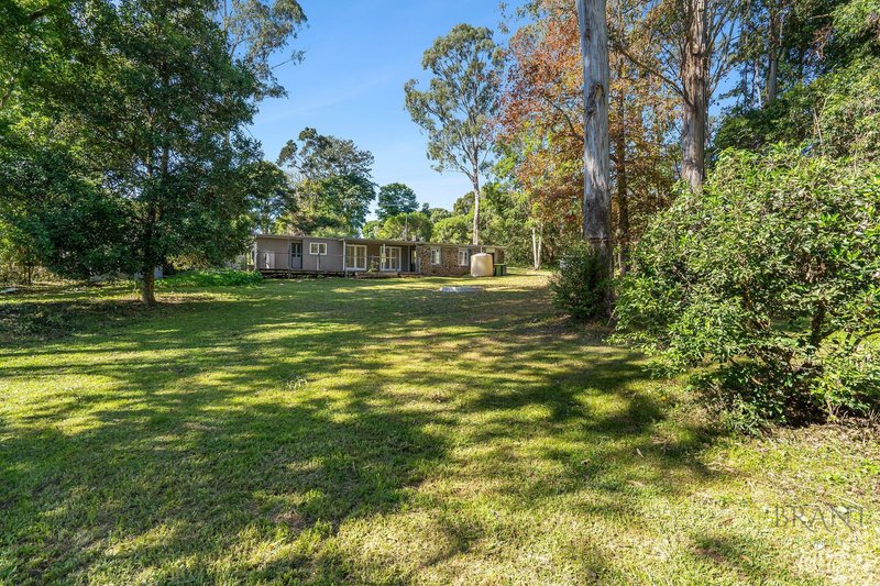 Photo - 20 Ravensberg Drive, Witta QLD 4552 - Image 16