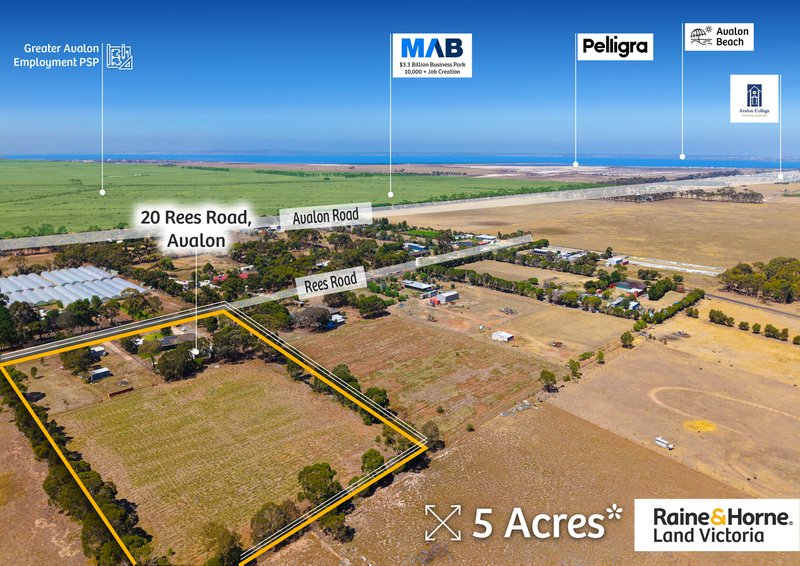 Photo - 20 Rees Road, Avalon VIC 3212 - Image 3
